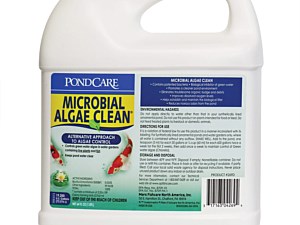 Algae Clean
